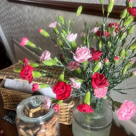 Shemara 4* Κέσγουικ